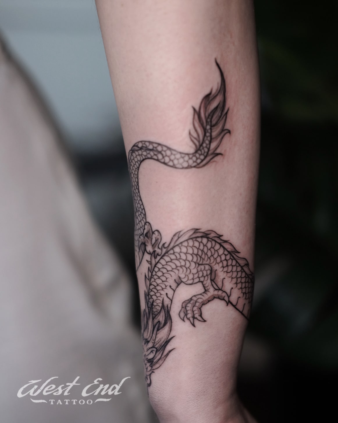 Татуировки дракон: значение и 199 фото и эскизов