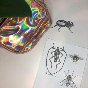 Эскиз насекомые графика