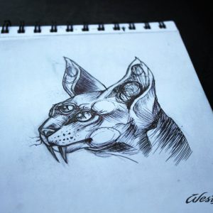 Эскиз саблезубая кошка графика