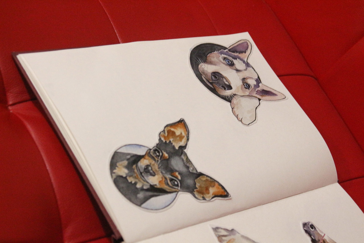 Эскиз собаки: фото – работа выполнена в тату студии «West End» (СПб)