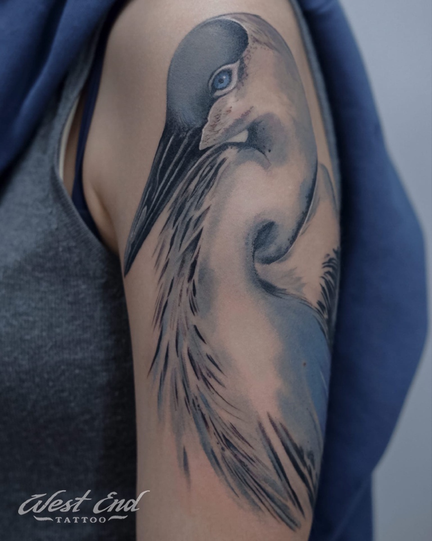 Тату (татуировка) Птицы на ключице: значение и эскизы женские и мужские