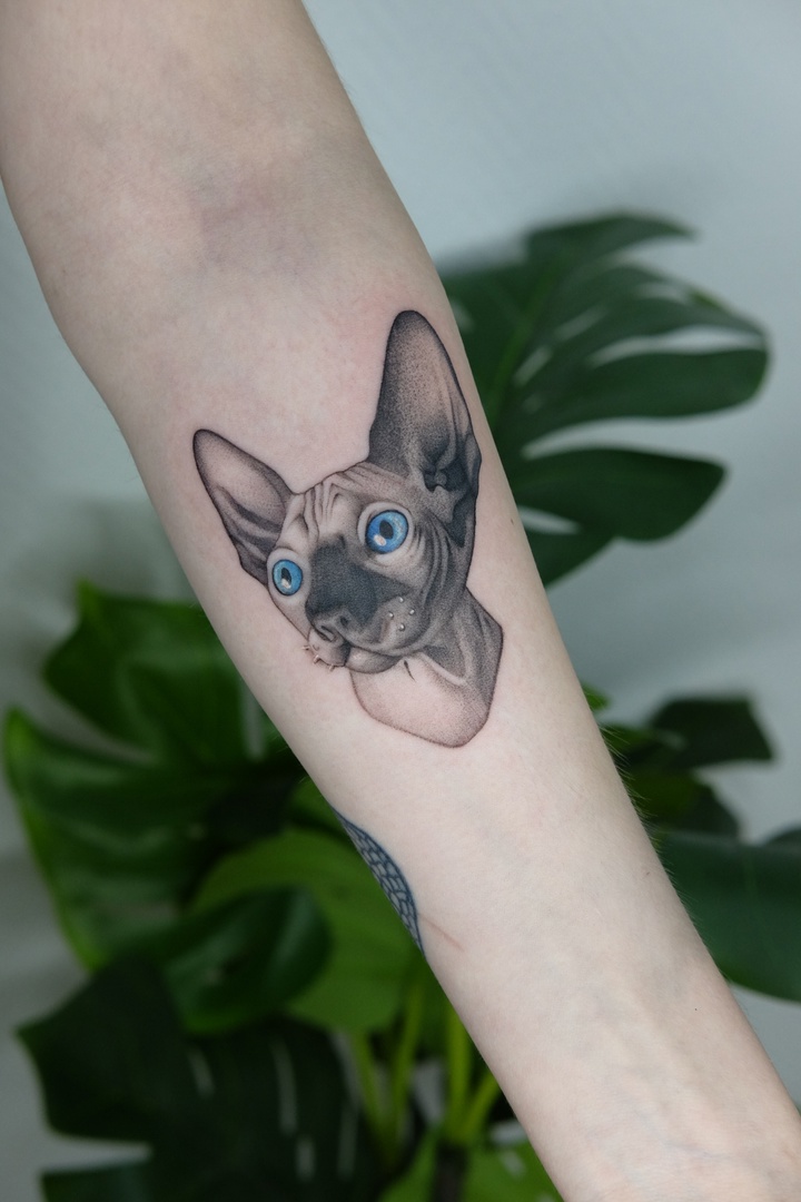 Означение татуировки девушка кошка