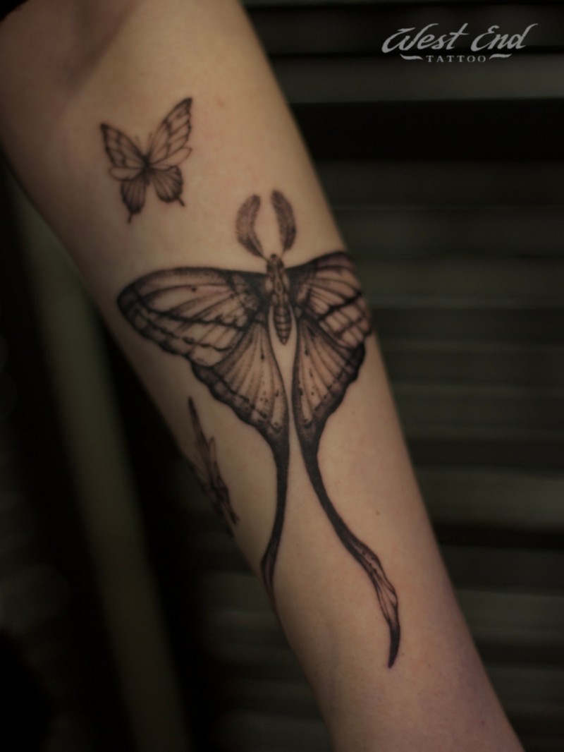 Тату с бабочкой (78 фото) - эскизы, значение татуировки с бабочкой для девушек